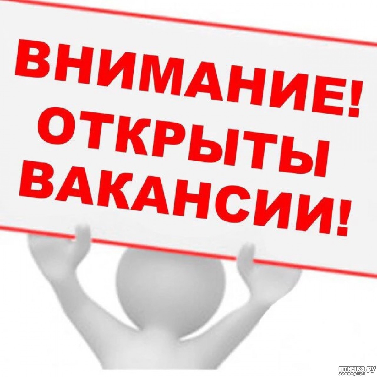 ВНИМАНИЕ!!! Вакансии